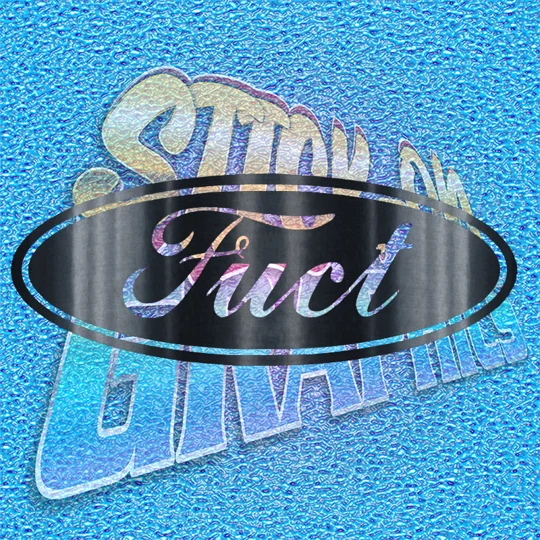 Ford Fuct