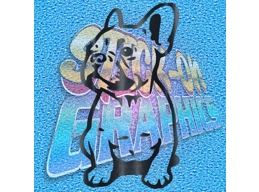French Bulldog 004