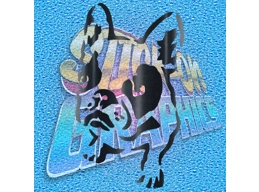 French bulldog 005