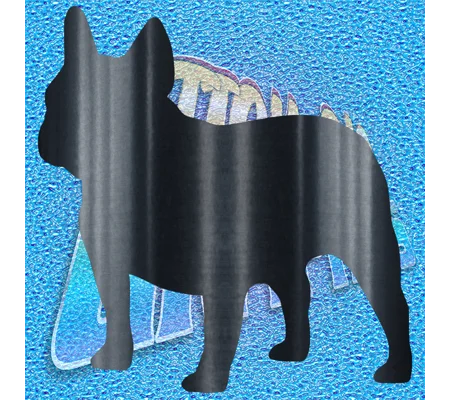 French Bulldog 007
