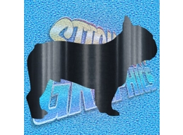 French Bulldog 008
