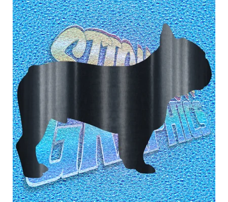 French Bulldog 008