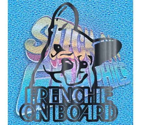 French Bulldog On Board 002