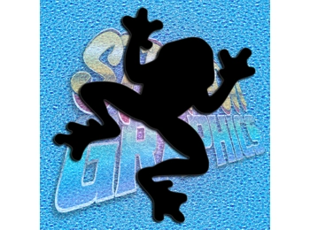 Frog 001