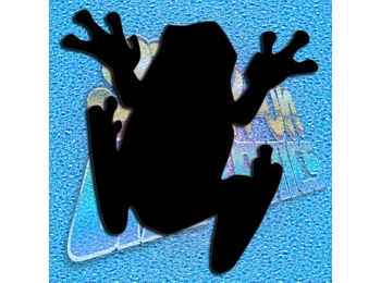 Frog 003