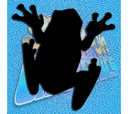 Frog 003
