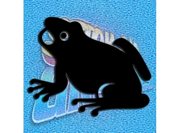 Frog 005