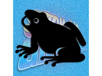 Frog 005