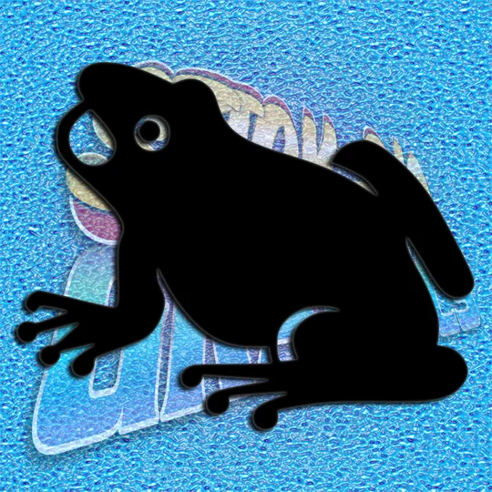 Frog 005