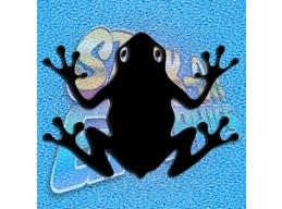Frog 006