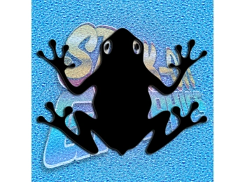 Frog 006