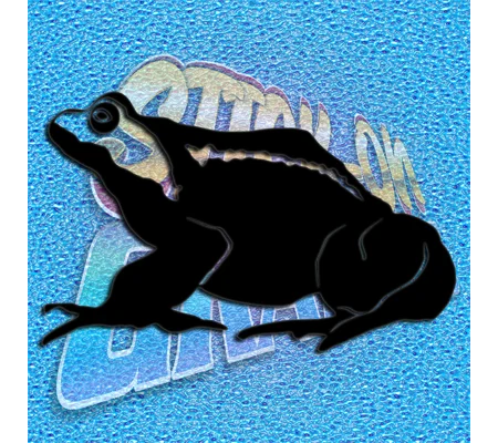 Frog 007