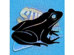 Frog 008