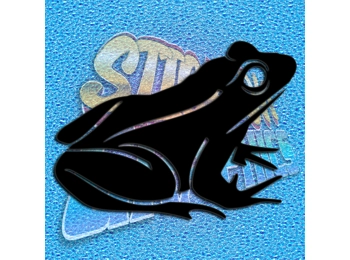 Frog 008