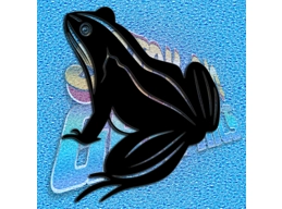 Frog 009
