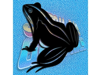 Frog 009