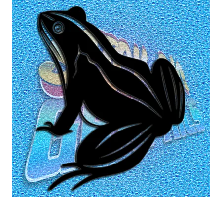 Frog 009
