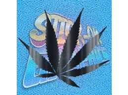 Ganja 002
