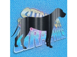 Great Dane 001