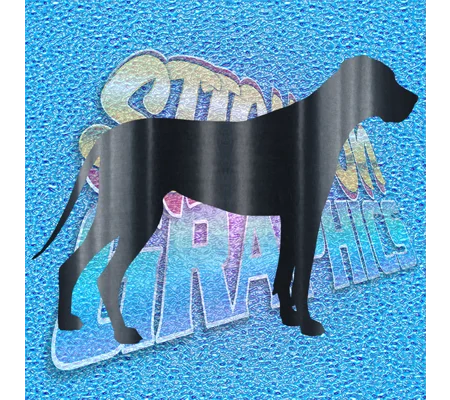 Great Dane 001
