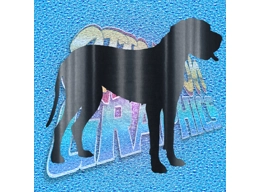 Great Dane 004