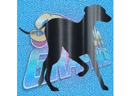 Greyhound 013