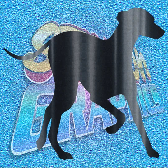 Greyhound 013
