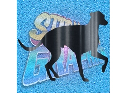 Greyhound 014