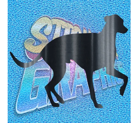 Greyhound 014