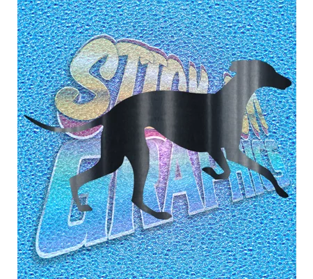 Greyhound 015
