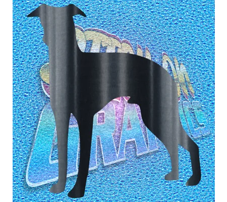 Greyhound 002