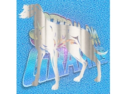 Greyhound 005