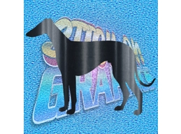 Greyhound 006