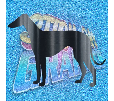 Greyhound 006
