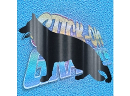 German Shepherd 014