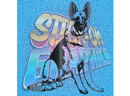 German Shepard 015