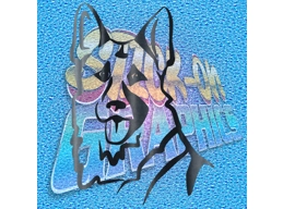 German Shepherd 017