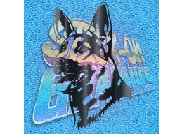 German Shepard 018