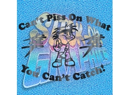 Hayabusa You Can't Catch