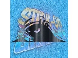 Hiding 002 Gun