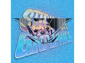 Hiding French Bulldog