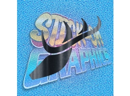 Hirsch Logo