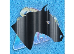 Horse 016