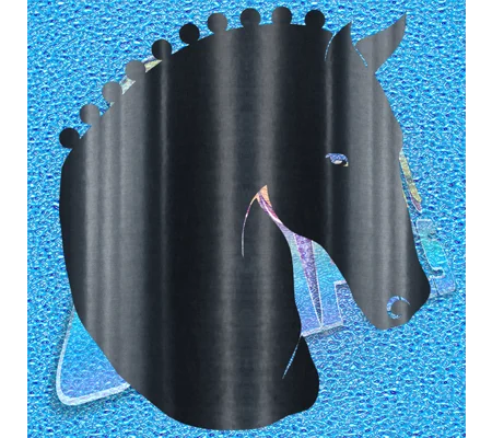 Horse 017