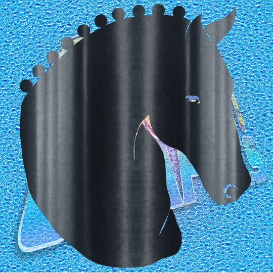 Horse 017