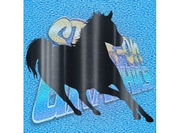 Horse 001