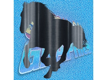 Horse 002