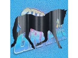 Horse 004