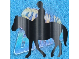 Horse Rider