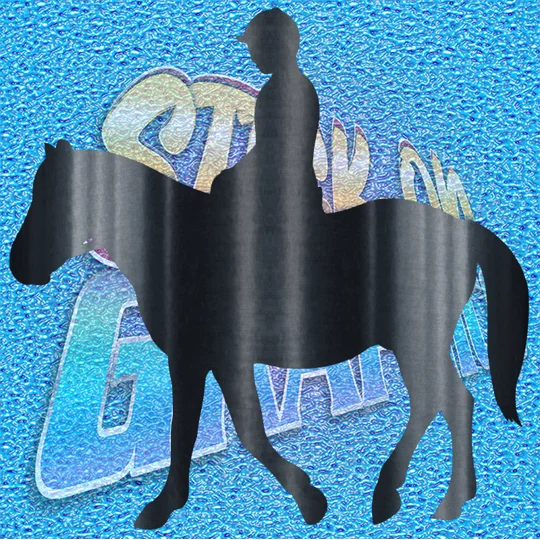 Horse Rider